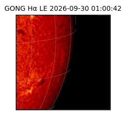 gong - 2026-09-30T01:00:42