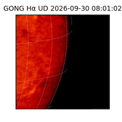 gong - 2026-09-30T08:01:02