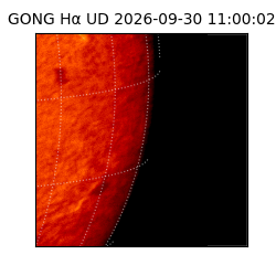 gong - 2026-09-30T11:00:02