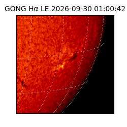 gong - 2026-09-30T01:00:42