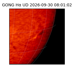 gong - 2026-09-30T08:01:02