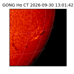 gong - 2026-09-30T13:01:42
