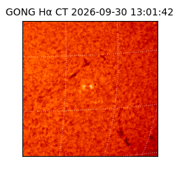 gong - 2026-09-30T13:01:42