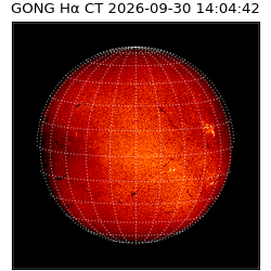 gong - 2026-09-30T14:04:42