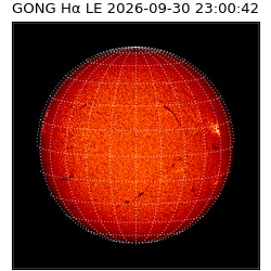 gong - 2026-09-30T23:00:42