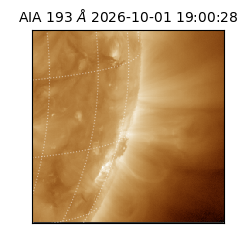 saia - 2026-10-01T19:00:28.842000