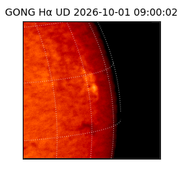 gong - 2026-10-01T09:00:02