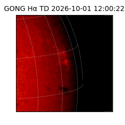 gong - 2026-10-01T12:00:22