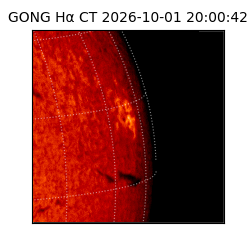 gong - 2026-10-01T20:00:42
