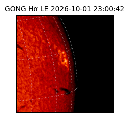 gong - 2026-10-01T23:00:42