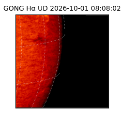 gong - 2026-10-01T08:08:02