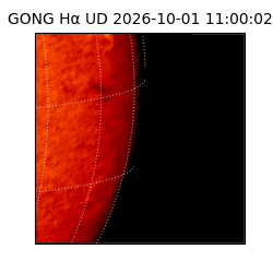 gong - 2026-10-01T11:00:02