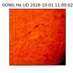 gong - 2026-10-01T11:00:02