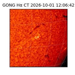 gong - 2026-10-01T12:06:42