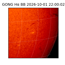 gong - 2026-10-01T22:00:02