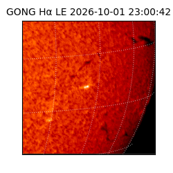 gong - 2026-10-01T23:00:42