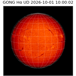 gong - 2026-10-01T10:00:02