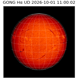 gong - 2026-10-01T11:00:02