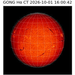 gong - 2026-10-01T16:00:42