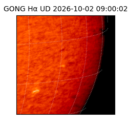 gong - 2026-10-02T09:00:02