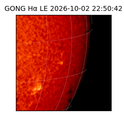 gong - 2026-10-02T22:50:42