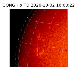 gong - 2026-10-02T16:00:22
