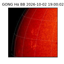 gong - 2026-10-02T19:00:02
