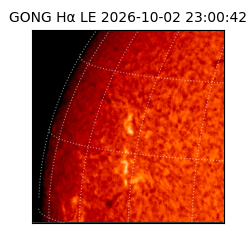 gong - 2026-10-02T23:00:42
