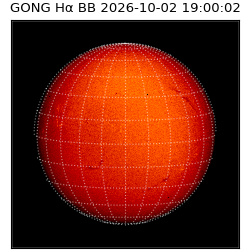 gong - 2026-10-02T19:00:02