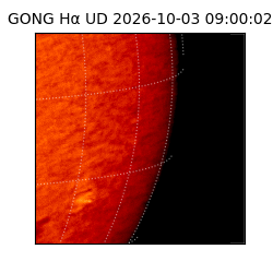 gong - 2026-10-03T09:00:02