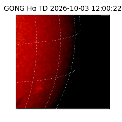 gong - 2026-10-03T12:00:22