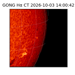 gong - 2026-10-03T14:00:42