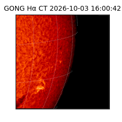 gong - 2026-10-03T16:00:42