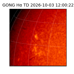 gong - 2026-10-03T12:00:22