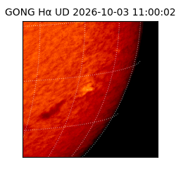 gong - 2026-10-03T11:00:02