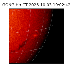 gong - 2026-10-03T19:02:42