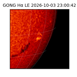 gong - 2026-10-03T23:00:42