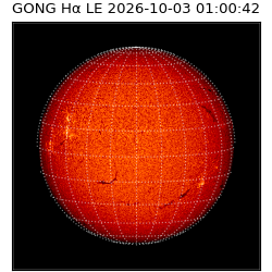 gong - 2026-10-03T01:00:42