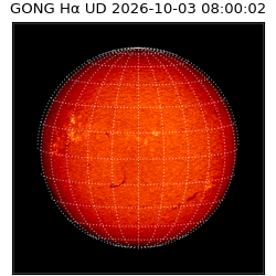 gong - 2026-10-03T08:00:02