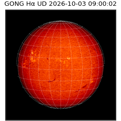 gong - 2026-10-03T09:00:02