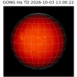 gong - 2026-10-03T13:00:22
