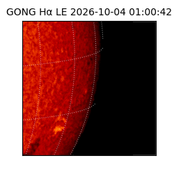 gong - 2026-10-04T01:00:42
