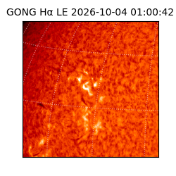gong - 2026-10-04T01:00:42