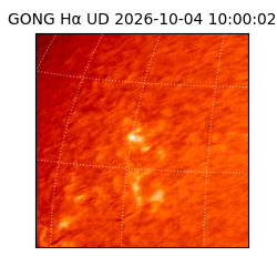 gong - 2026-10-04T10:00:02