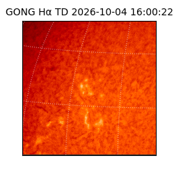 gong - 2026-10-04T16:00:22