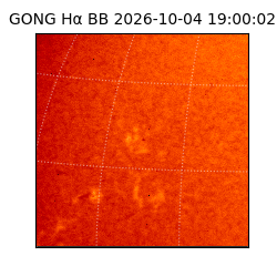 gong - 2026-10-04T19:00:02