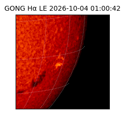 gong - 2026-10-04T01:00:42