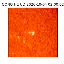 gong - 2026-10-04T02:00:02