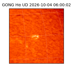 gong - 2026-10-04T06:00:02