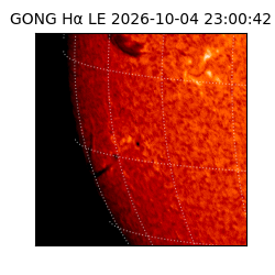 gong - 2026-10-04T23:00:42